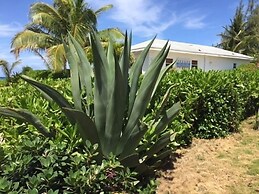 Med Point 1 Bedroom Home