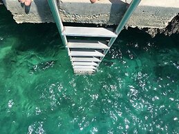 Palm Bluff 2 Bedroom Cottage