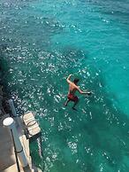 Palm Bluff 2 Bedroom Cottage