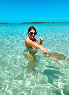 Buttonwood Reserve by Eleuthera Vacation Rentals
