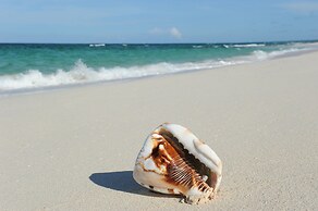 Buttonwood Reserve by Eleuthera Vacation Rentals