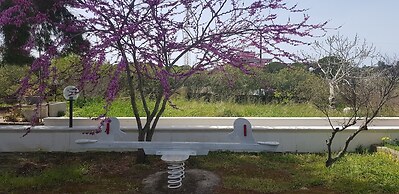 Stella del Sud Guesthouse