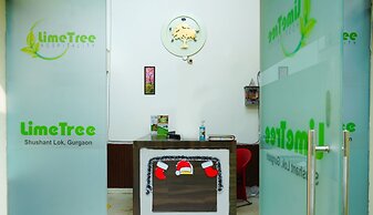 Lime Tree Hotel Sushant Lok Gurgaon