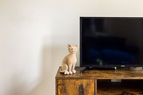 The Chelsea Collection