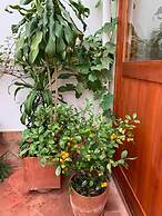 Hotel Sol De La Villa