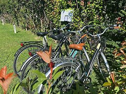 VERDERAME Rooms & Suite in Lucca