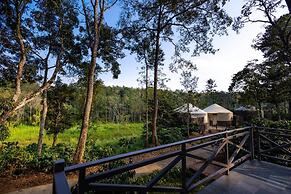 Machaan Wilderness Lodge Nagarahole