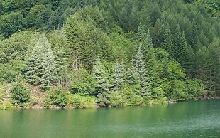 Camping Lac de Villefort