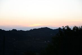 THERESA SULLA COLLINA