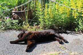 ROSE COURT HOLIDAY APARTMENTS