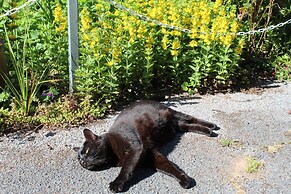 ROSE COURT HOLIDAY APARTMENTS