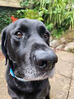 ROSE COURT HOLIDAY APARTMENTS