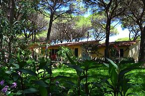 1 Ala Birdi Cottage Trilocale