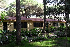 15 Ala Birdi Cottage 150m From The Beach