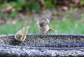 Serenity House Pemberton