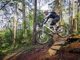 Serenity House Pemberton