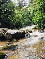 Finca de la Vaca - Glamping