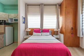Lofts San Ángel