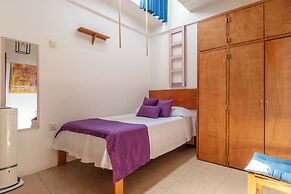Lofts San Ángel