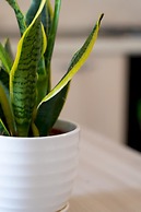 Appartamento 70 in Casalabate