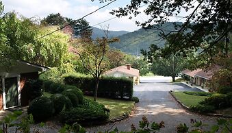 Mountain Aire Cottages & Inn