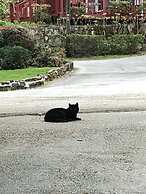 Mountain Aire Cottages & Inn