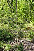 Mountain Aire Cottages & Inn