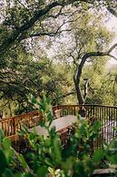 Holman Ranch Estate Vineyard & Winery