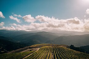 Holman Ranch Estate Vineyard & Winery