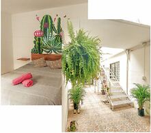 Hostel Casa Maguey
