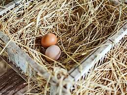 Tantai Eco Farm Stay at Khao Yai