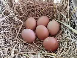 Tantai Eco Farm Stay at Khao Yai