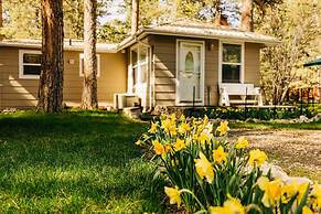 Serene Creek Side Cottage Retreat