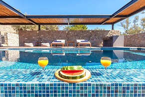 Villa Naya Desimi in Desimi