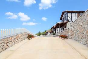 Vissala 3 Arnebia in Chortata