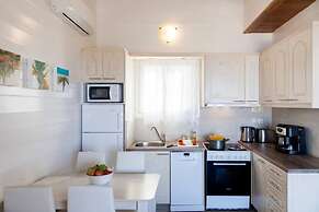 Vissala 3 Arnebia in Chortata