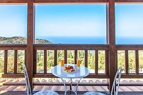 Vissala 3 Arnebia in Chortata