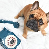 Moxy Houston Downtown