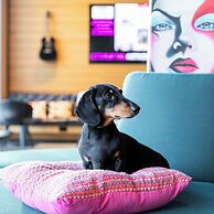 Moxy Houston Downtown