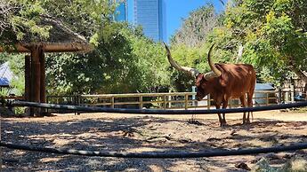 Moxy Houston Downtown