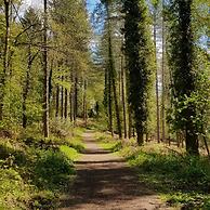 The Rock Self Catering Holiday Accommodation