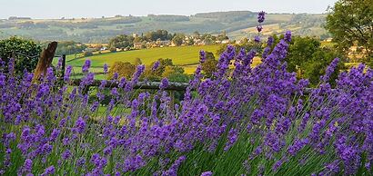 The Rock Self Catering Holiday Accommodation