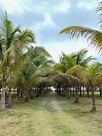 Cojimies Paradise