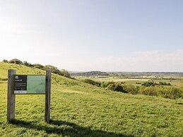 Tree of Life House, Number 27 Bere Lane