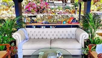 Island View Guesthouse