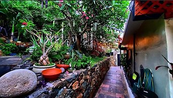 Island View Guesthouse