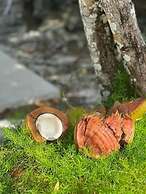 Flipper Refuge 2 Bedroom Cottage