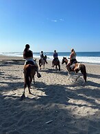Hotel Tranquilo