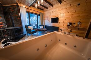 Abant Zumrut Dag Evi