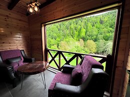 Abant Zumrut Dag Evi